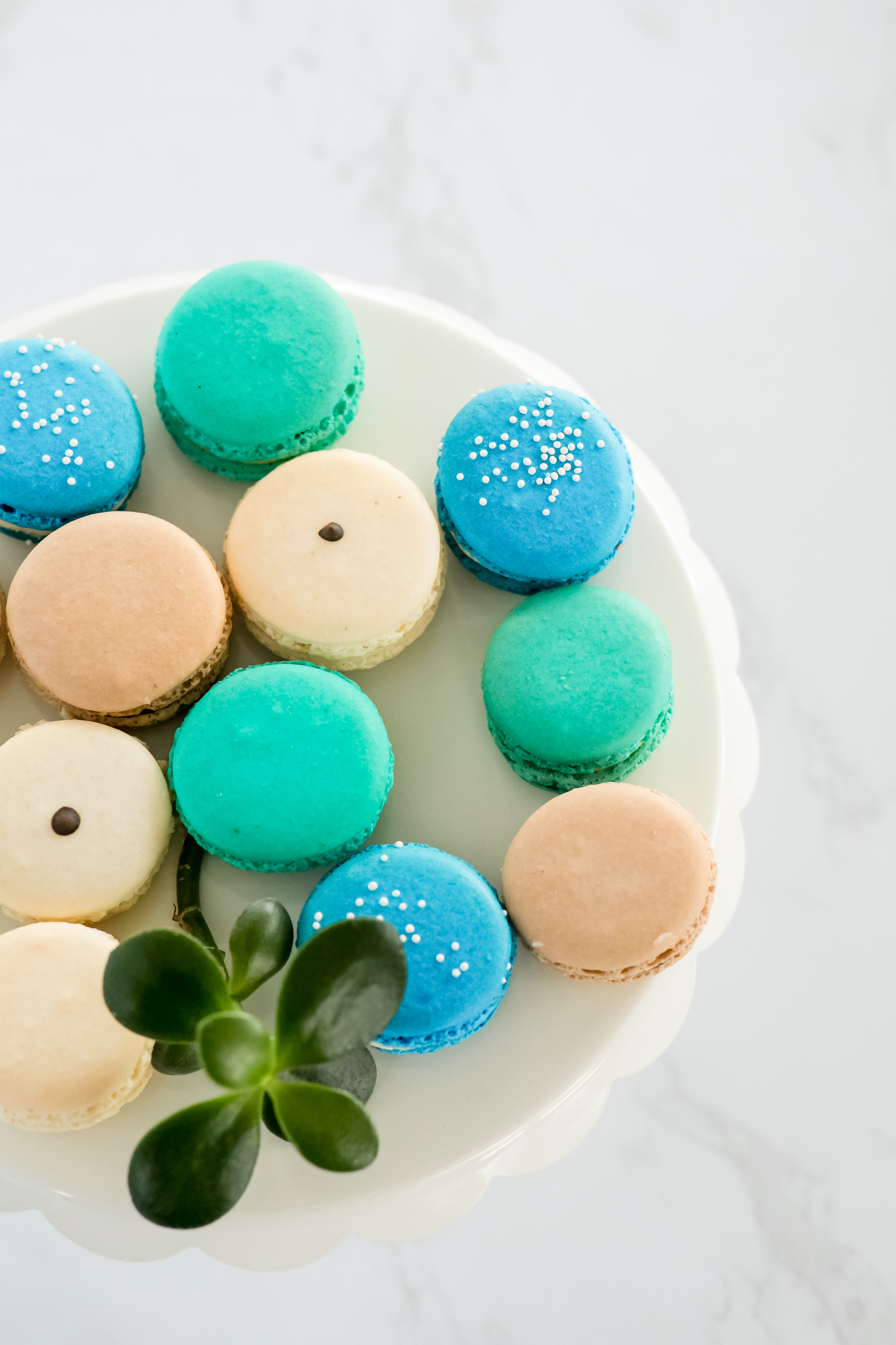 Macarons are gluten free in Minnesota!